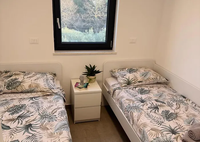 Frank Apartamento